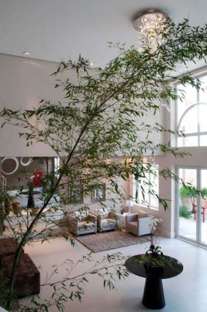 Apartamento à venda com 2 quartos, 115m² - Foto 8