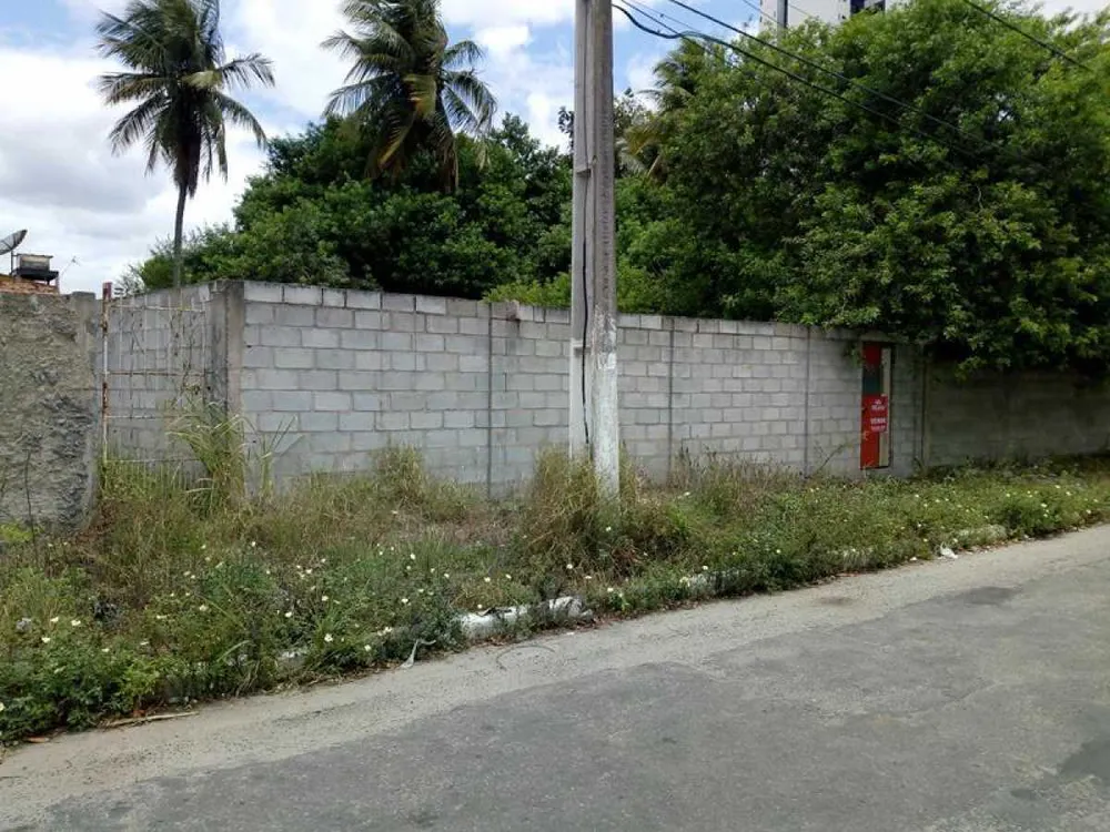 Terreno - Foto 2