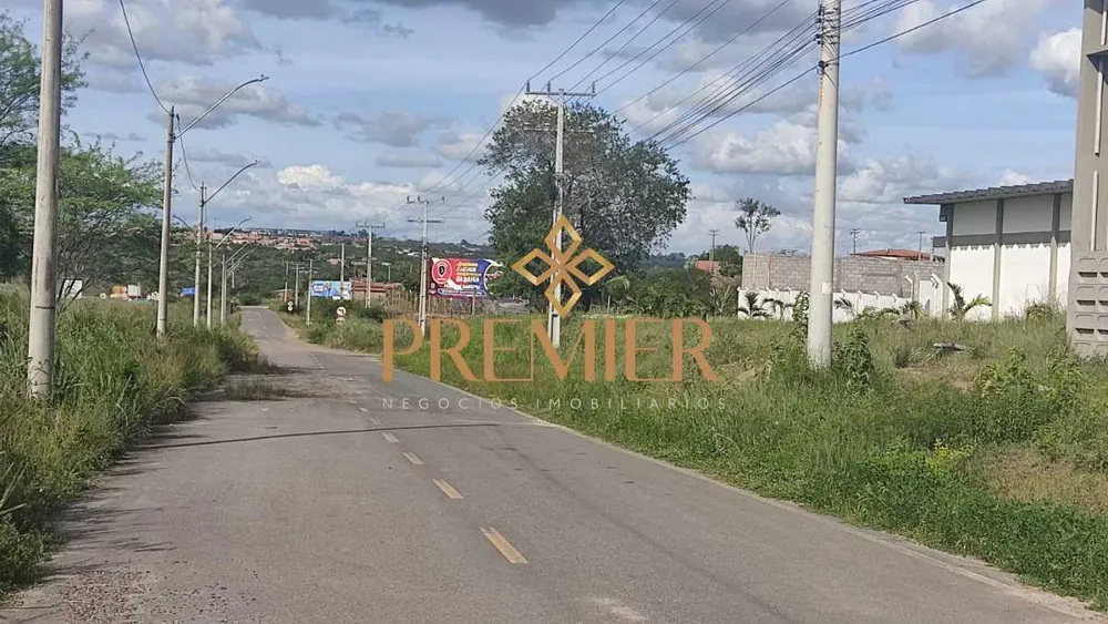 Depósito-Galpão, 21000 m² - Foto 4