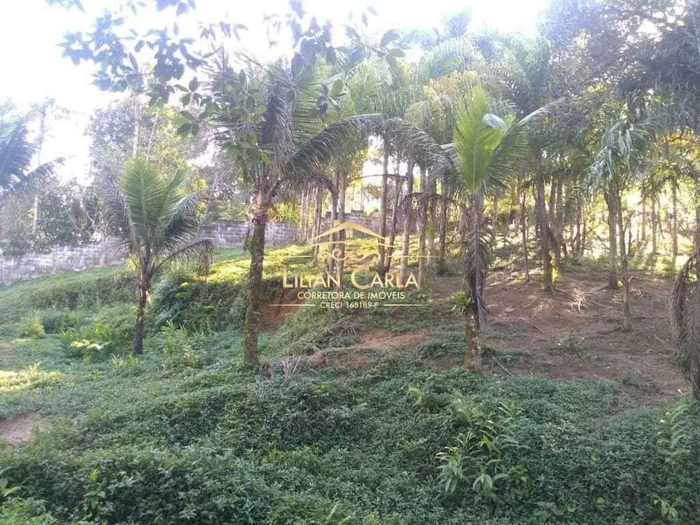 Sítio, 1 quarto, 322 m² - Foto 11