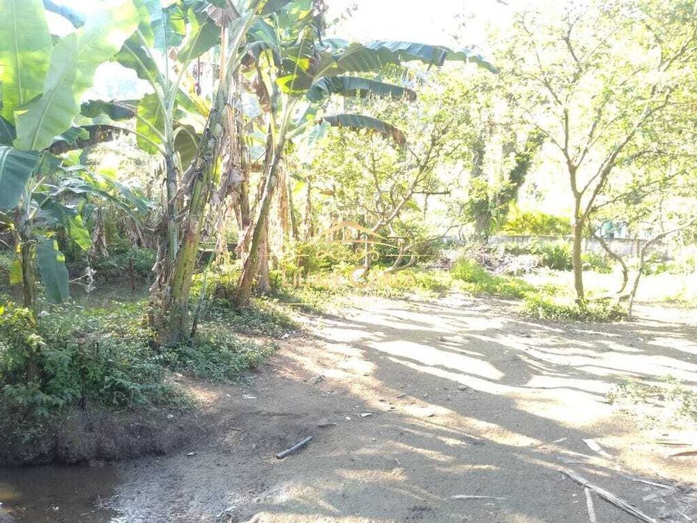 Sítio, 1 quarto, 322 m² - Foto 4