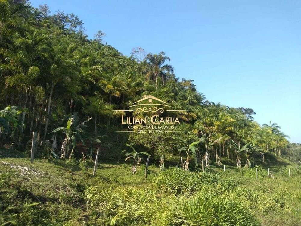 Sítio, 1 quarto, 322 m² - Foto 3