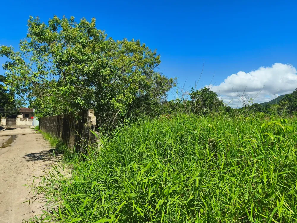 Terreno, 500 m² - Foto 11