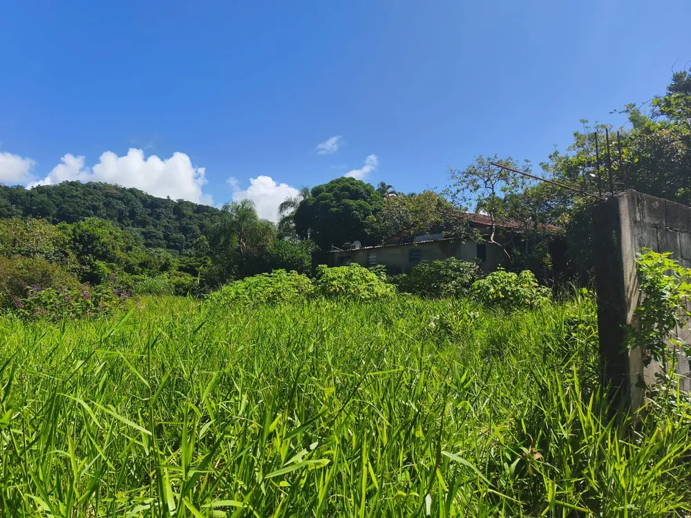 Terreno, 500 m² - Foto 12