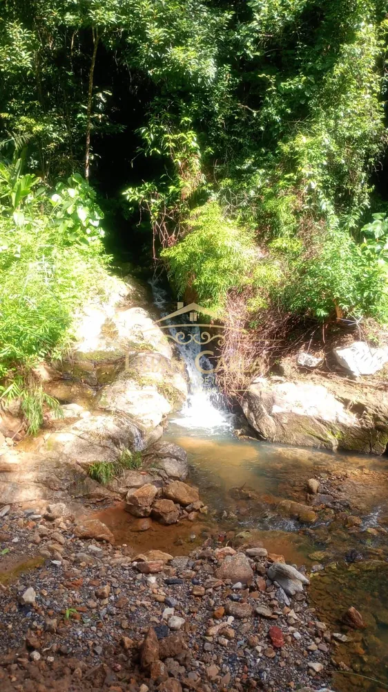 Terreno, 5 hectares - Foto 1