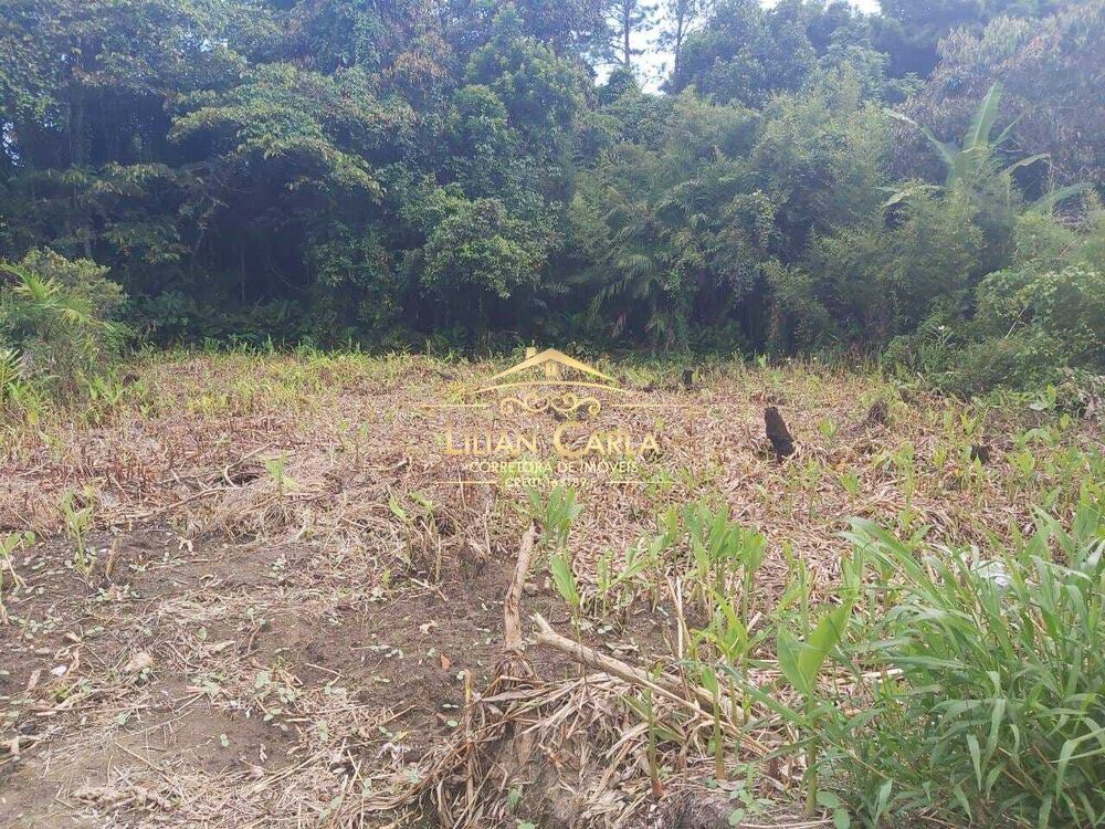 Terreno, 1000 m² - Foto 3