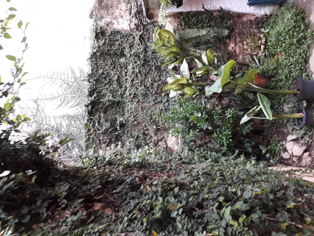 Casa, 2 quartos, 150 m² - Foto 13