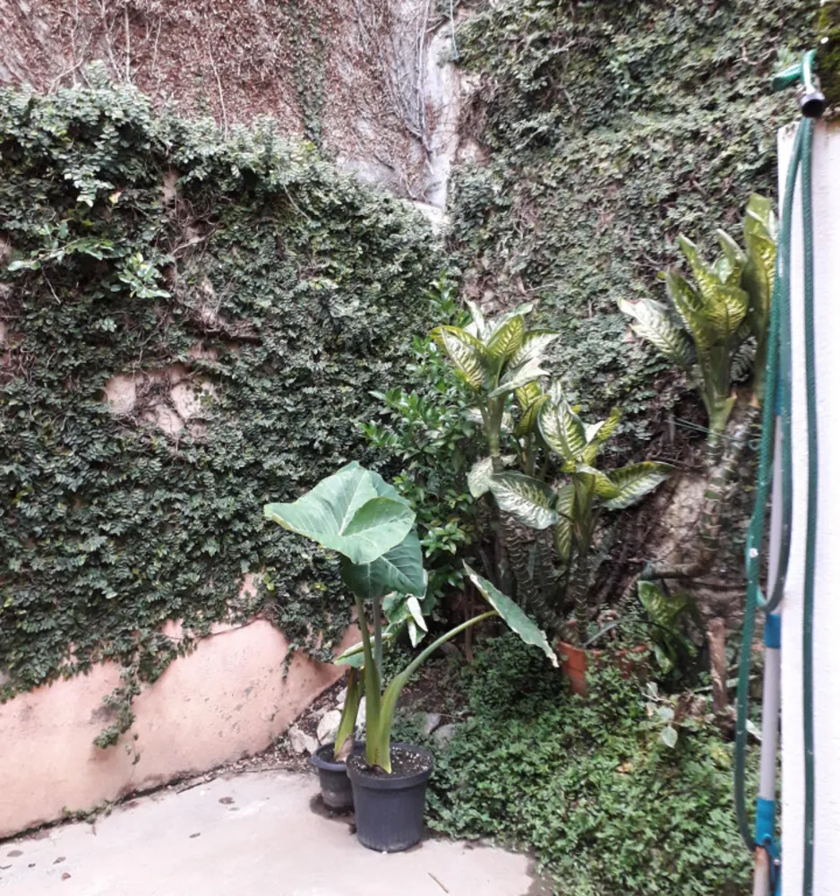 Casa, 2 quartos, 150 m² - Foto 14