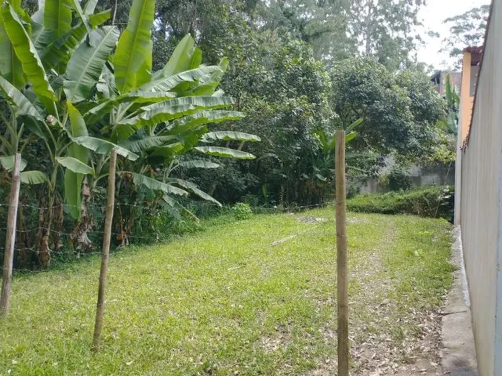 Apartamento, 480 m² - Foto 2