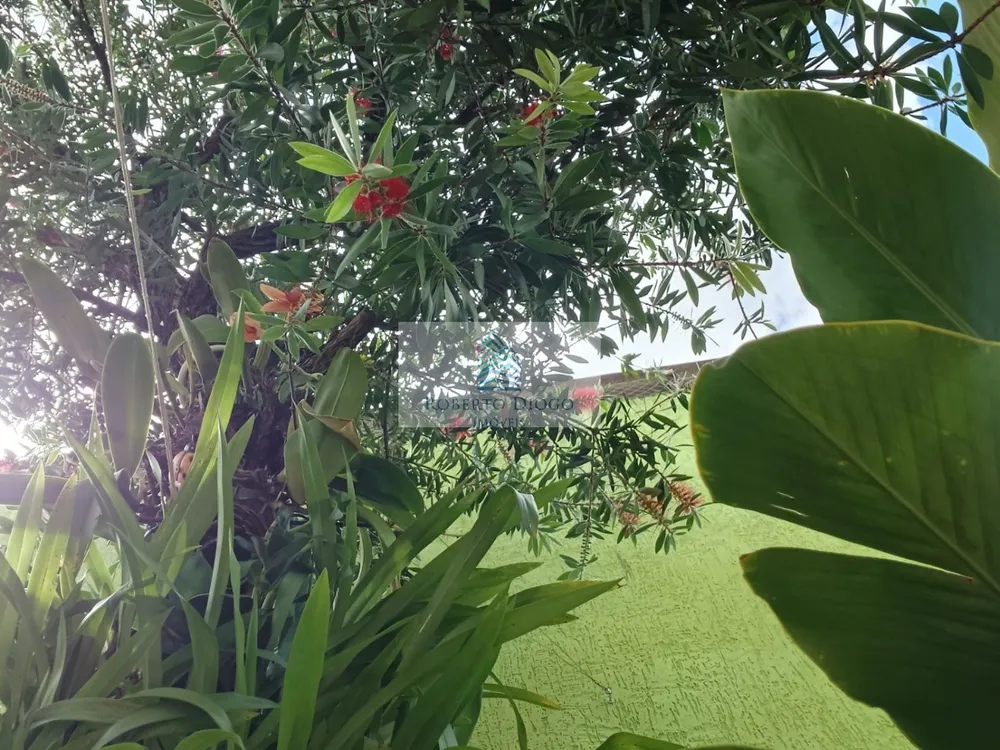 Casa, 4 quartos, 230 m² - Foto 68