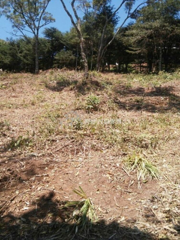 Terreno, 1700 m² - Foto 6