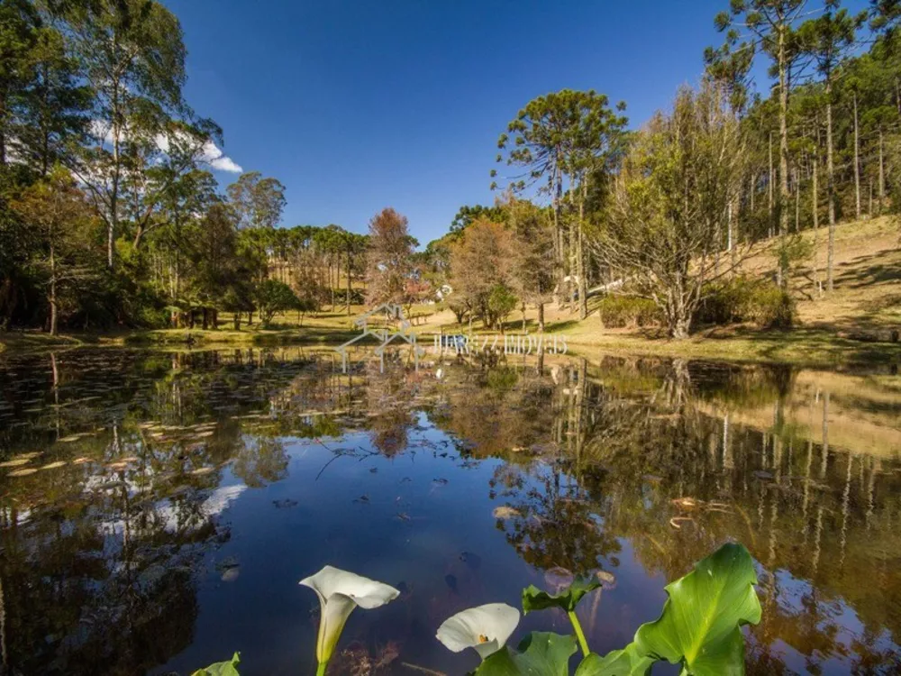 Terreno, 1302 m² - Foto 8