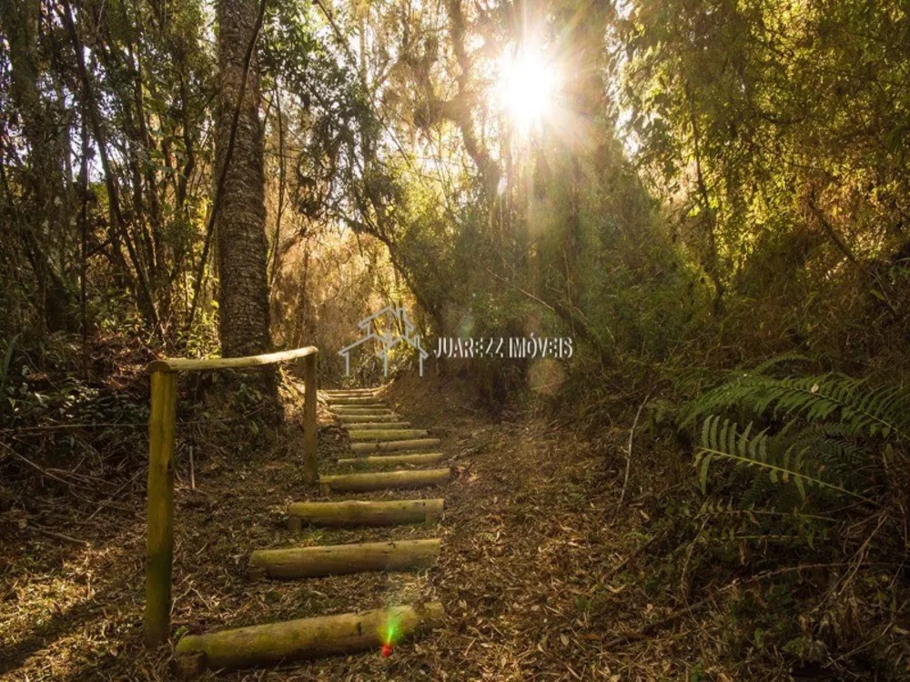 Terreno, 1302 m² - Foto 7