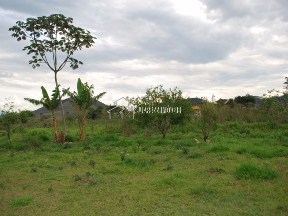 Sítio à venda com 3 quartos - Foto 14