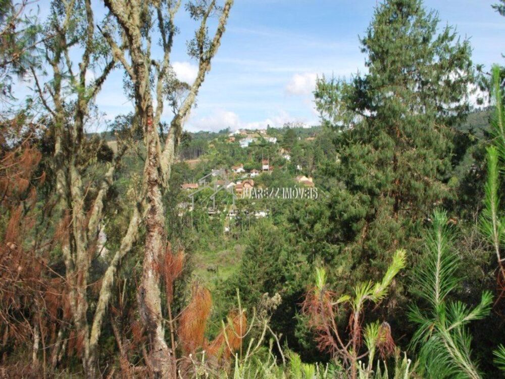 Terreno, 6680 m² - Foto 2