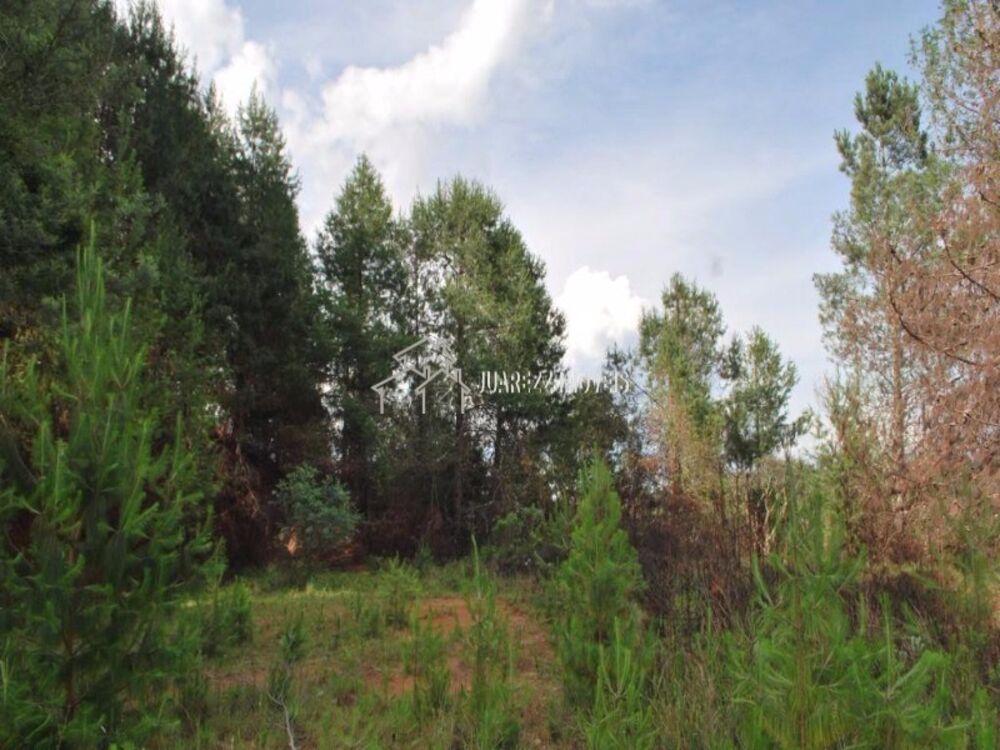 Terreno, 6680 m² - Foto 4