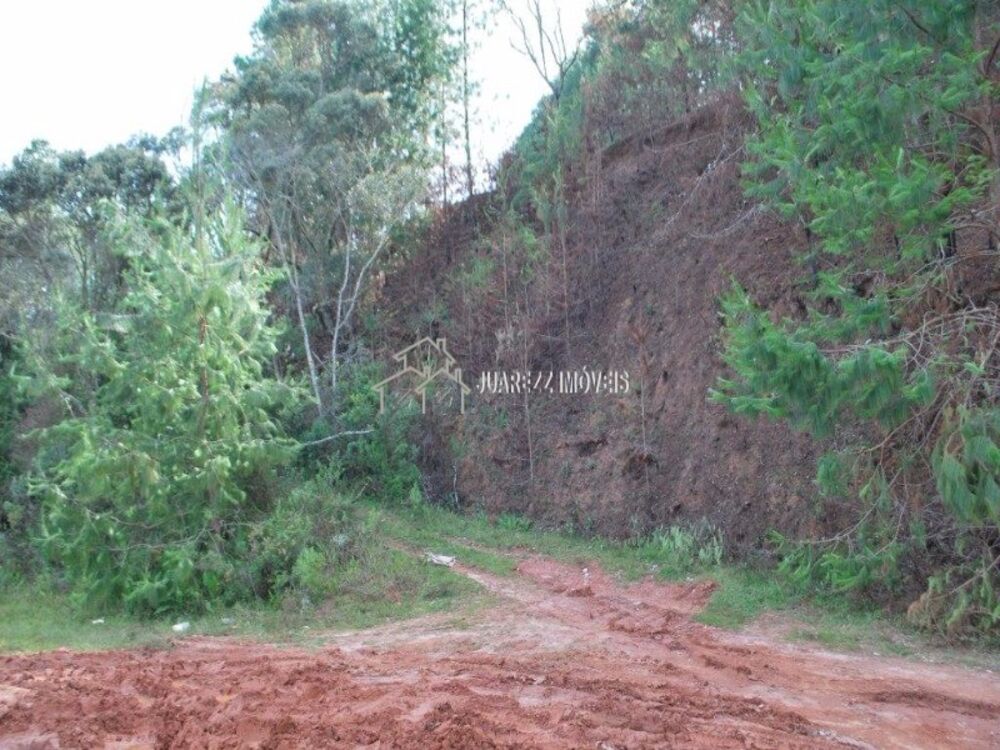 Terreno, 6680 m² - Foto 7