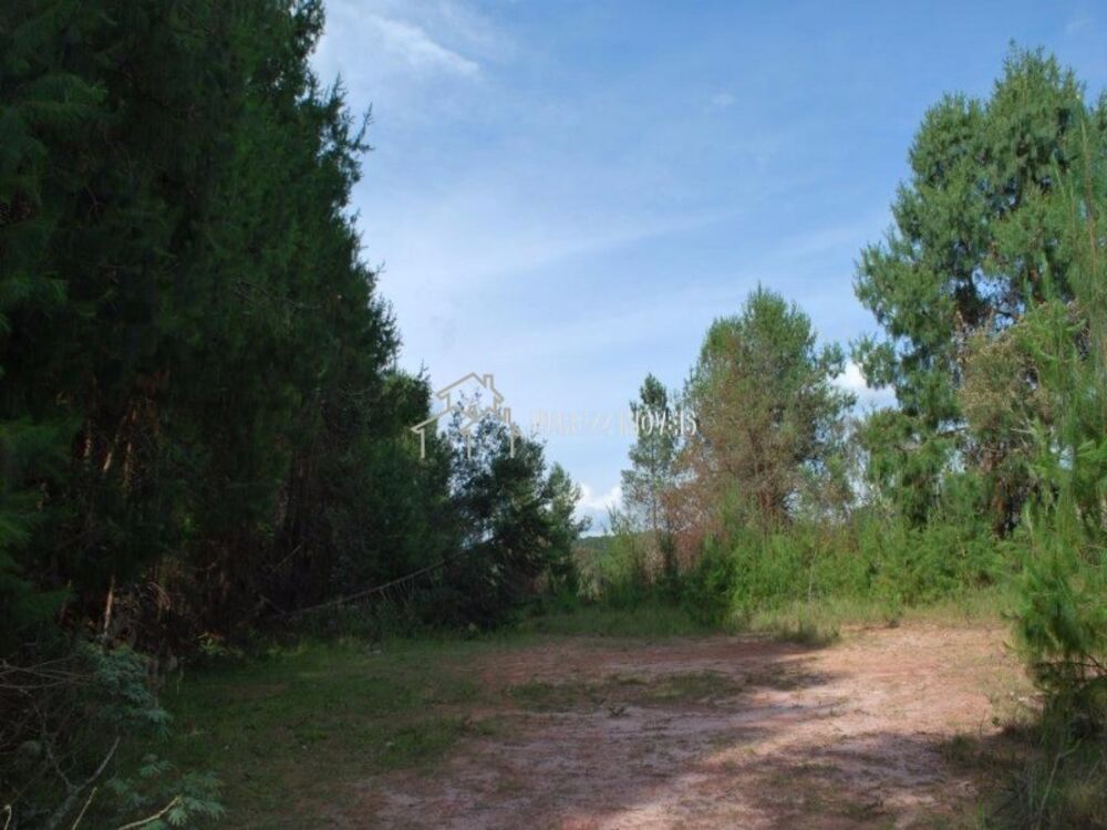 Terreno, 6680 m² - Foto 5