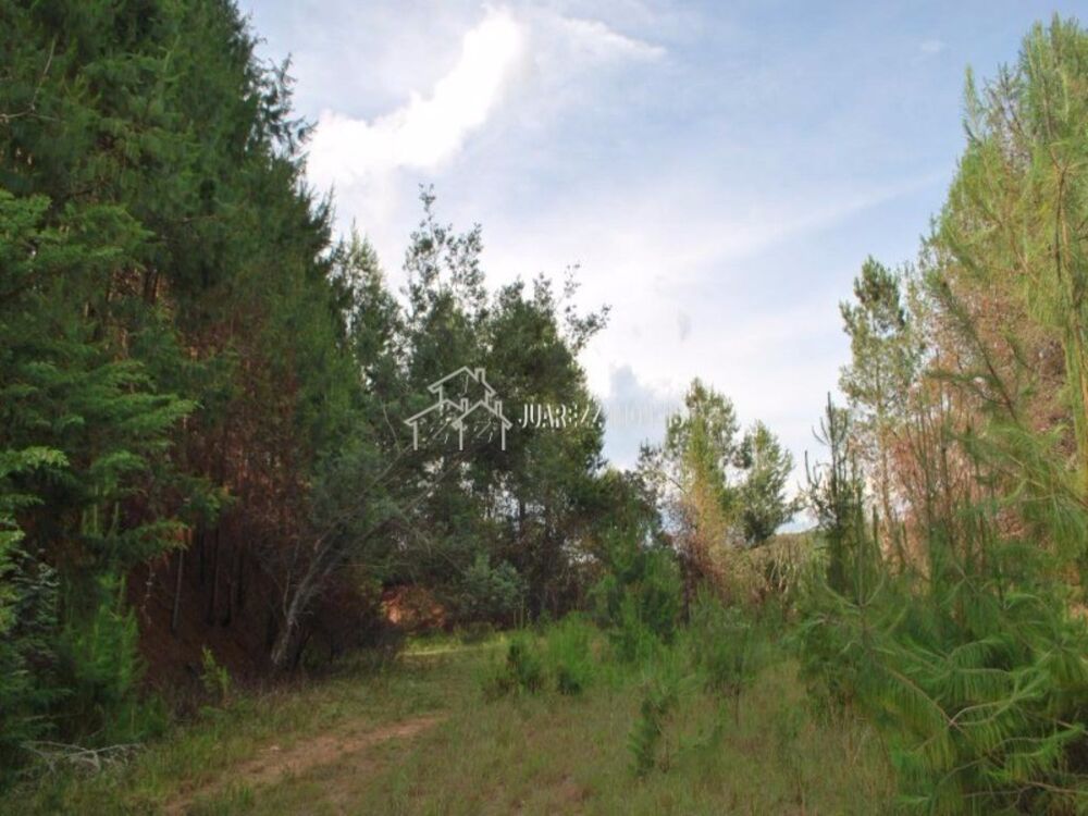 Terreno, 6680 m² - Foto 1