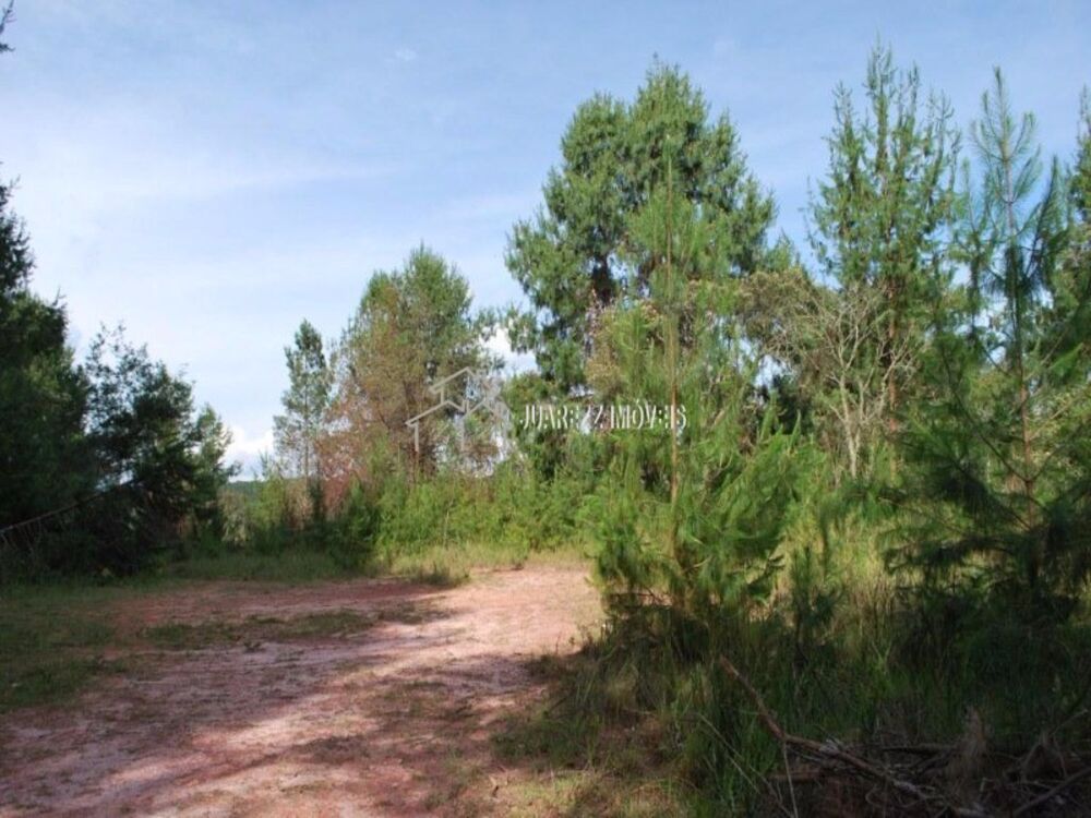 Terreno, 6680 m² - Foto 6