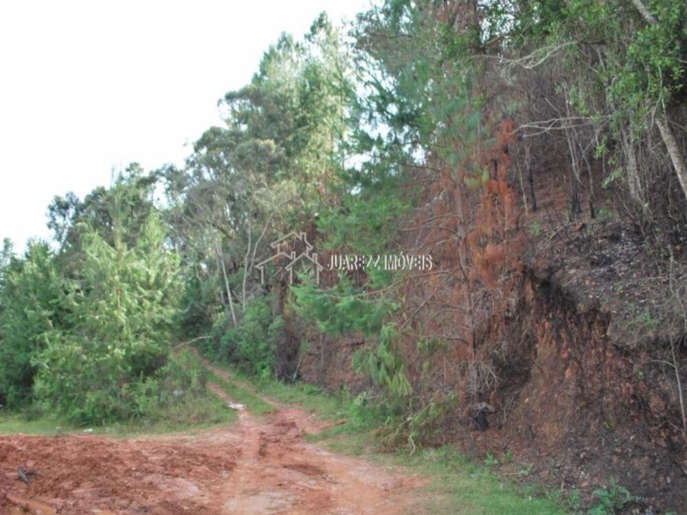Terreno, 6680 m² - Foto 8