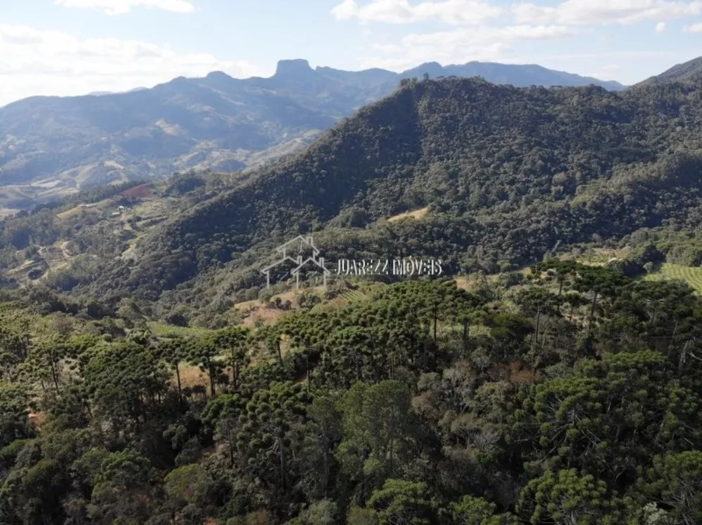 Terreno à venda, 1615m² - Foto 2