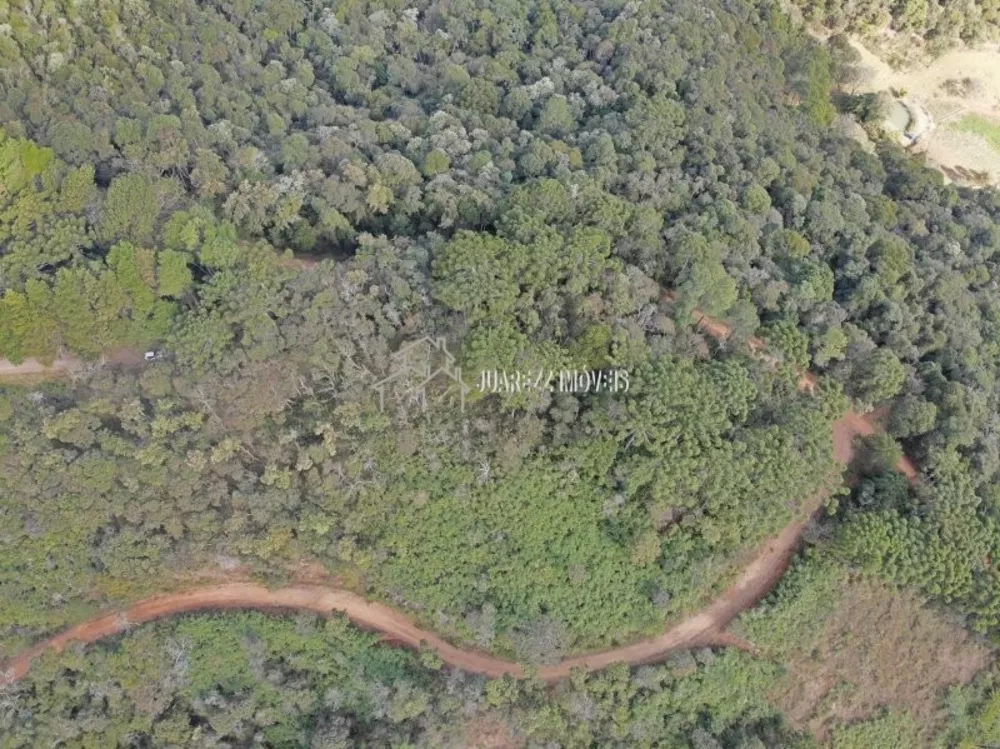 Terreno, 1615 m² - Foto 5