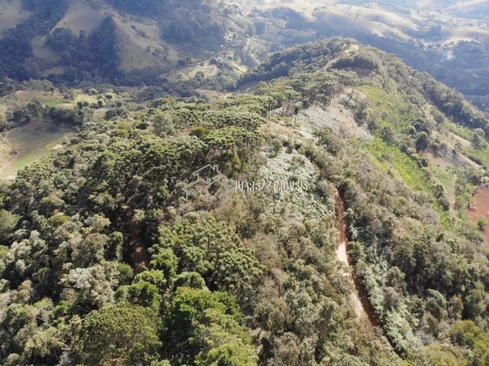 Terreno, 1615 m² - Foto 8