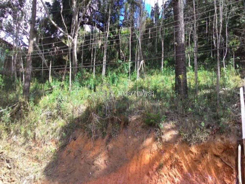 Terreno, 522 m² - Foto 1