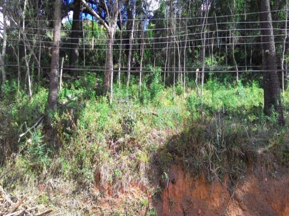 Terreno, 522 m² - Foto 2