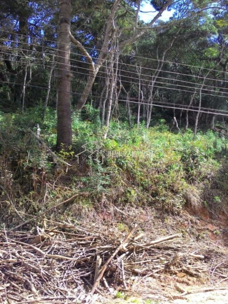 Terreno, 522 m² - Foto 3