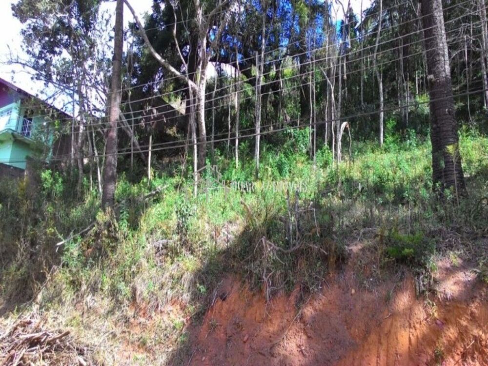 Terreno, 522 m² - Foto 5