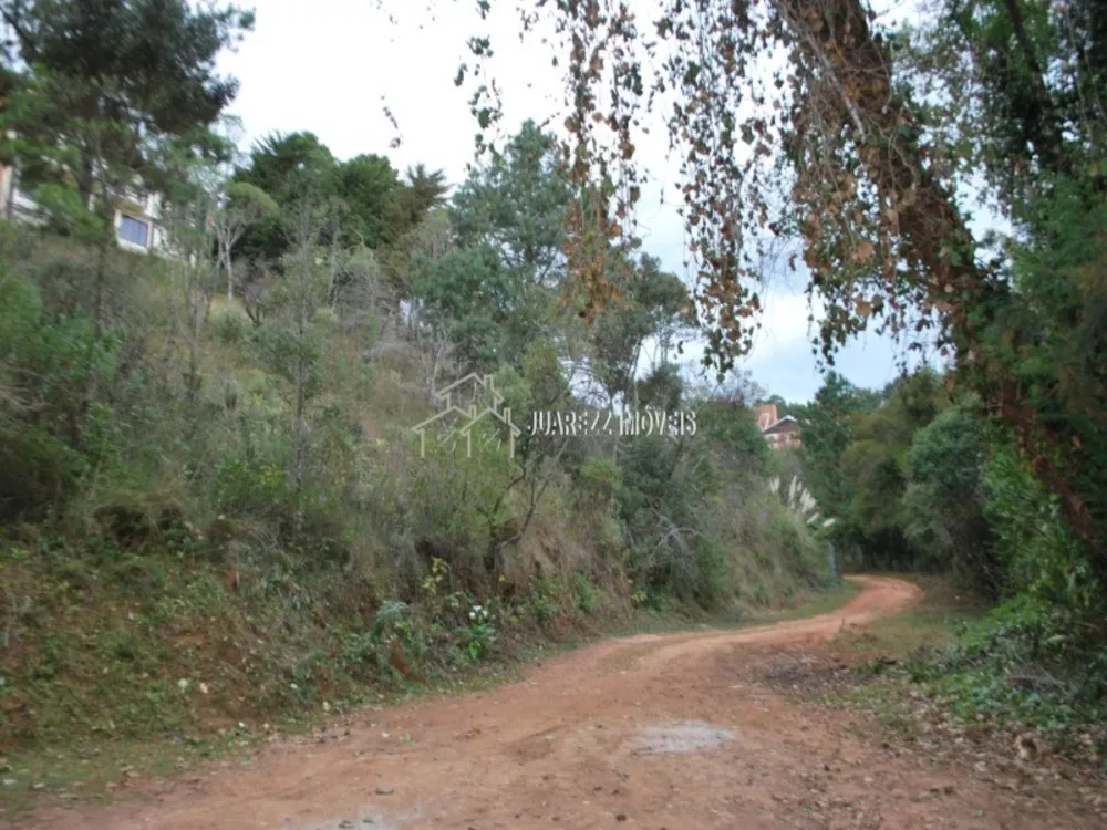 Terreno, 1180 m² - Foto 3