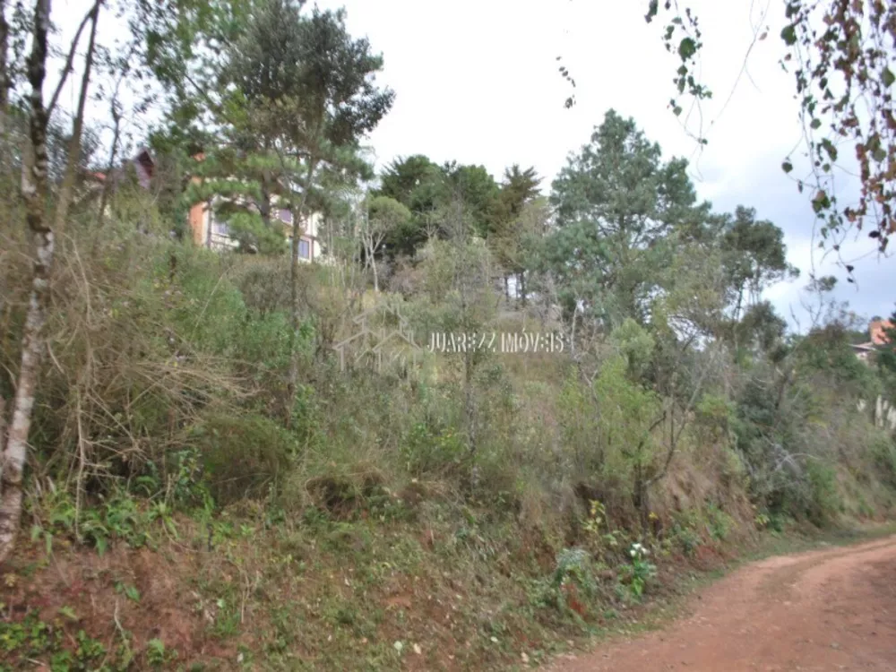 Terreno, 1180 m² - Foto 5