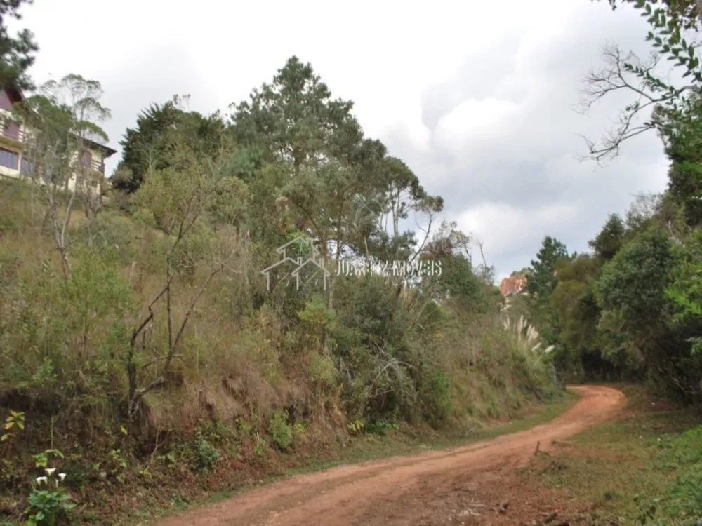 Terreno, 1180 m² - Foto 7