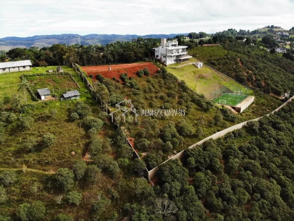 Terreno à venda, 5000m² - Foto 3