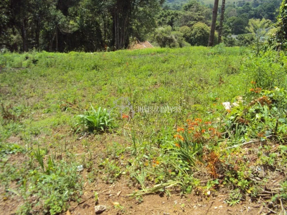 Terreno à venda, 1600m² - Foto 4