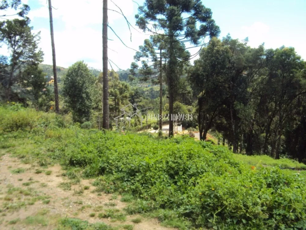 Terreno, 1600 m² - Foto 5