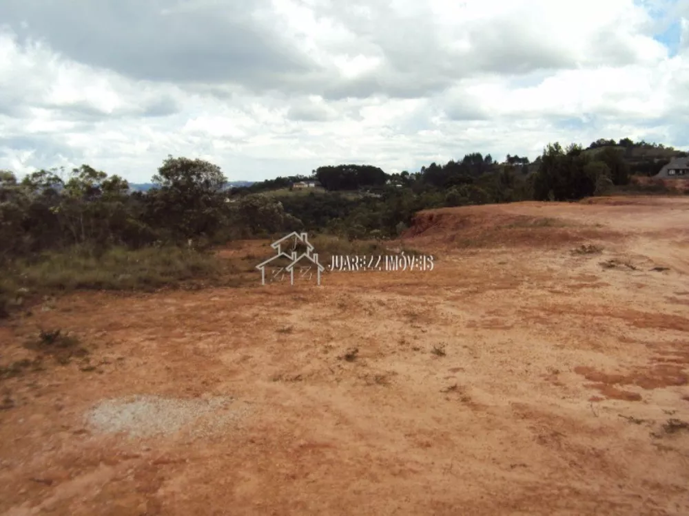 Terreno à venda, 15000m² - Foto 2