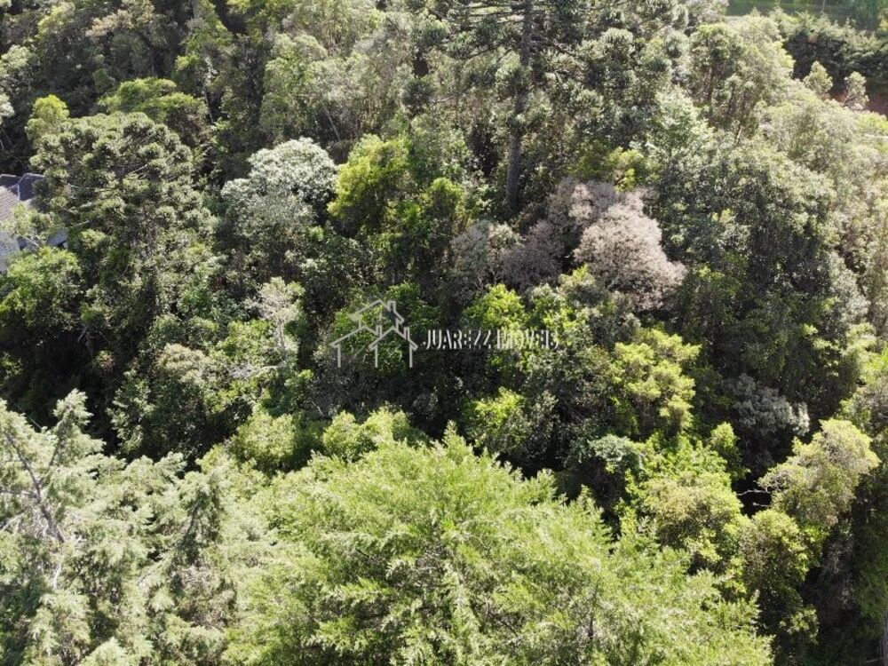 Terreno, 1115 m² - Foto 6