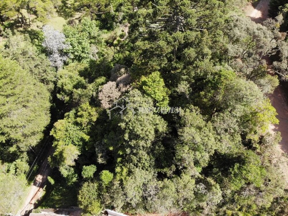 Terreno, 1115 m² - Foto 9