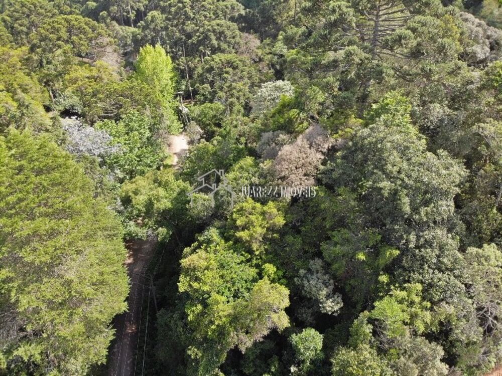 Terreno, 1115 m² - Foto 3