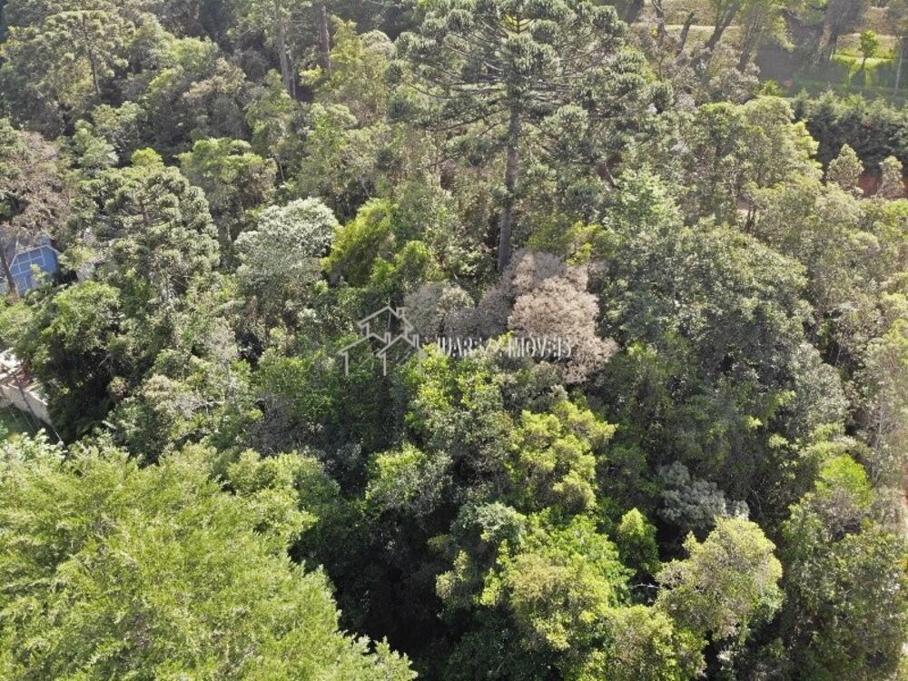 Terreno, 1115 m² - Foto 5