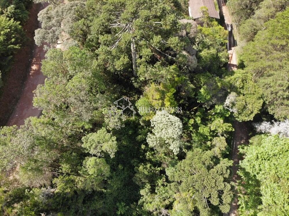 Terreno, 1115 m² - Foto 7