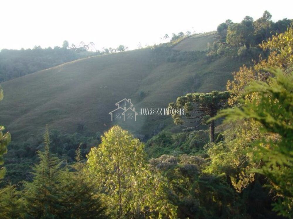 Terreno, 9 hectares - Foto 4