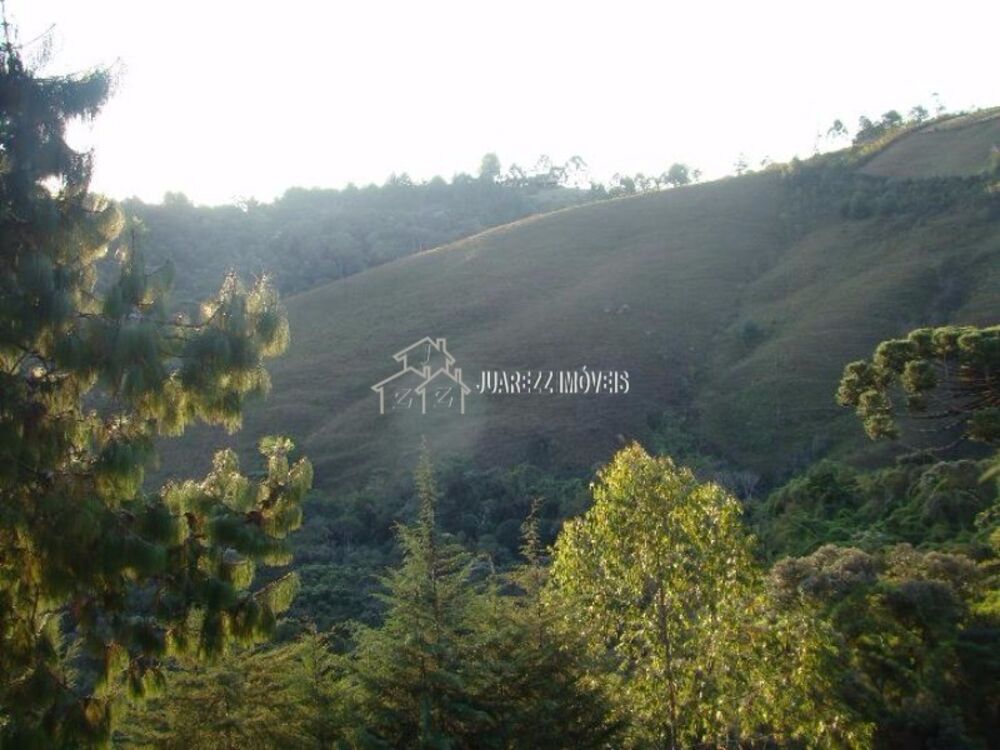 Terreno, 9 hectares - Foto 3