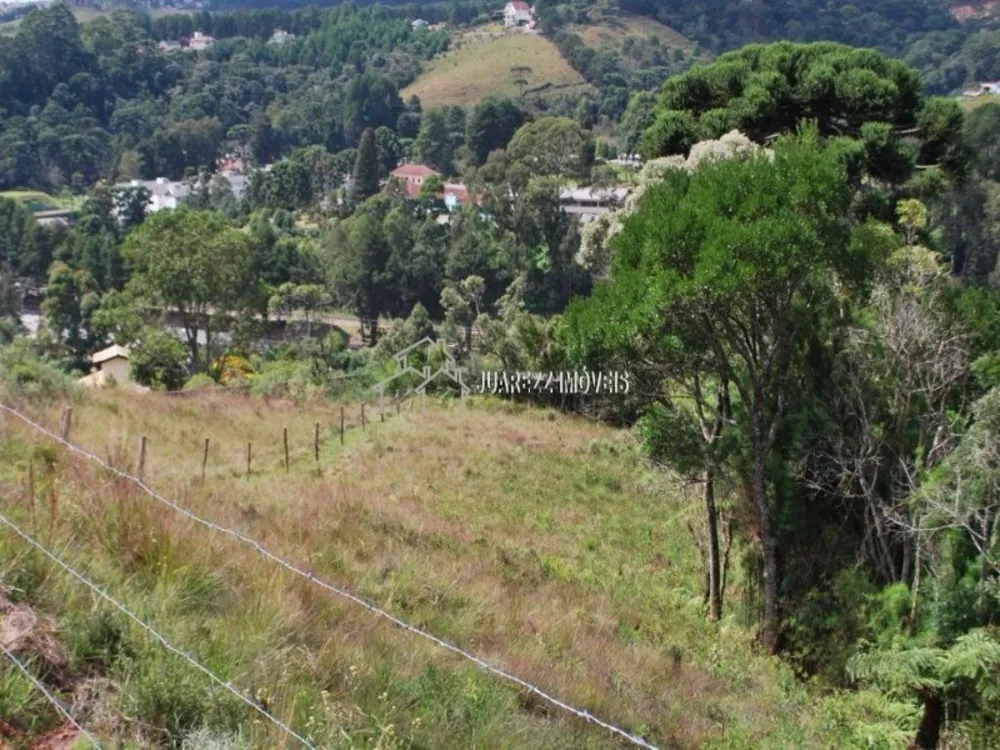 Terreno à venda, 1740m² - Foto 1