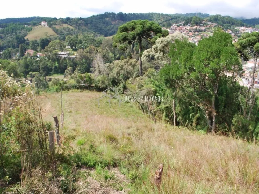 Terreno à venda, 1740m² - Foto 4