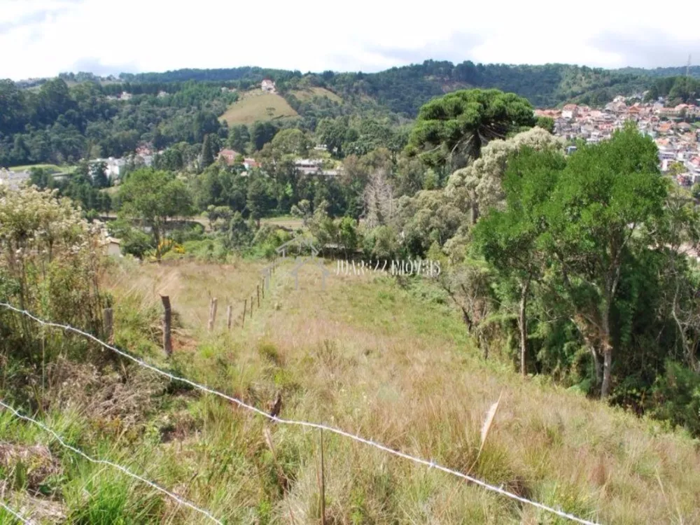 Terreno à venda, 1740m² - Foto 3