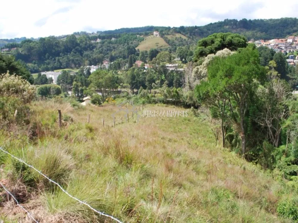 Terreno à venda, 1740m² - Foto 2